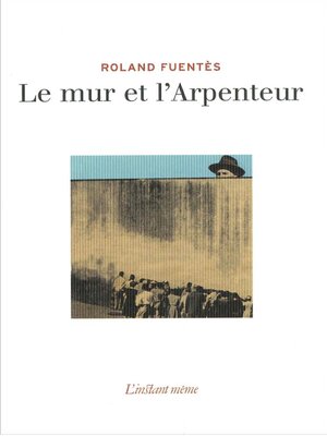 cover image of Le mur et l'Arpenteur